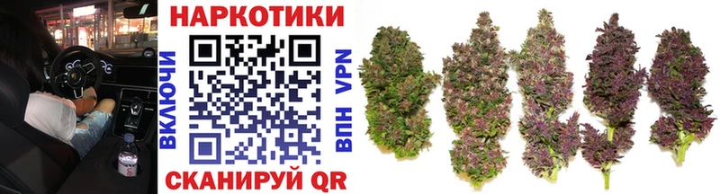 Где продают наркотики Дорогобуж A-PVP  МЕФ  ГАШ  Бошки Шишки 