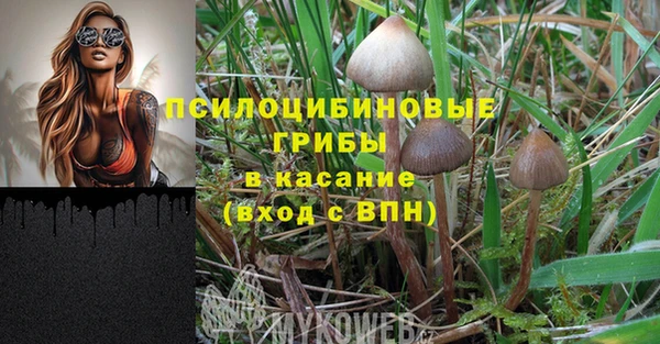 хмурый Богородицк