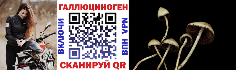 Галлюциногенные грибы Cubensis  Дорогобуж 